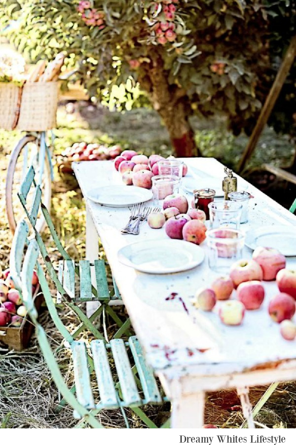 French farmhouse fall bliss in this outdoor dining vignette with farm table and bistro chairs - Dreamy Whites Atelier. Serene French Farmhouse Fall Decor Photos ahead!  #frenchfarmhouse #fallinspiration #apples #harvest #farmtable