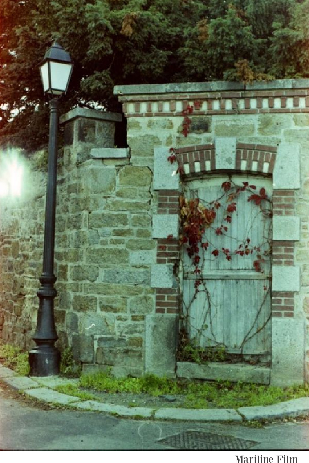 Gorgeous French country stone exterior with aqua blue green and climbing vines on rustic wood door - Mariline.Film. #frenchcountry #bluegreen #climbingvines #exterior #rusticfrench #frenchfarmhouse