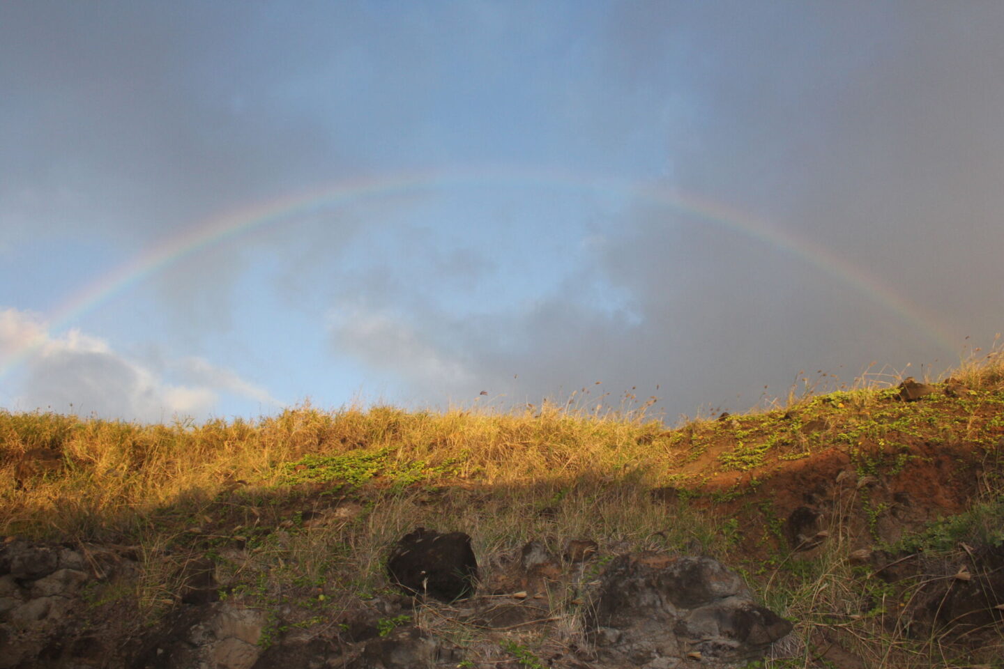 The glorious Pacific and mountainous landscape at Ka'ena Point on Oahu, where we hike to a seabird sanctuary to glimpse Laysan albatross beauty - Hello Lovely Studio.