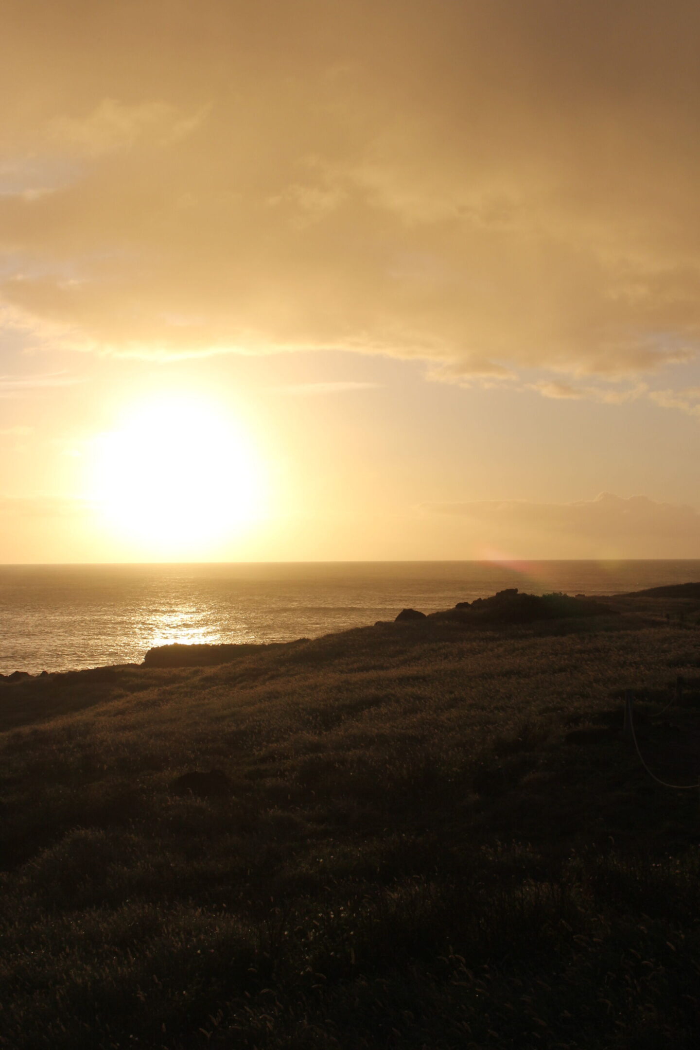 The glorious Pacific and mountainous landscape at Ka'ena Point on Oahu, where we hike to a seabird sanctuary to glimpse Laysan albatross beauty - Hello Lovely Studio.