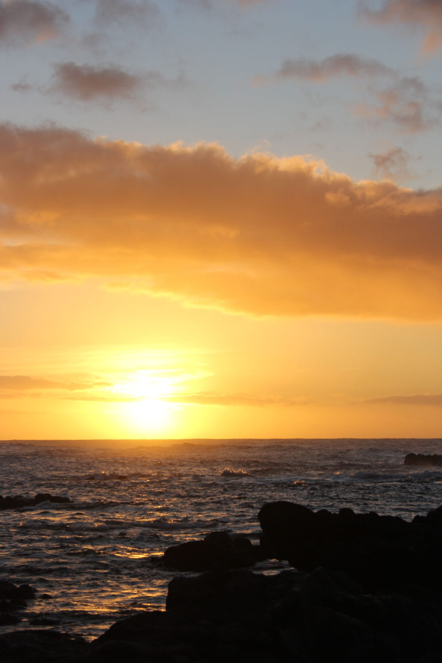 The glorious Pacific and mountainous landscape at Ka'ena Point on Oahu, where we hike to a seabird sanctuary to glimpse Laysan albatross beauty - Hello Lovely Studio.