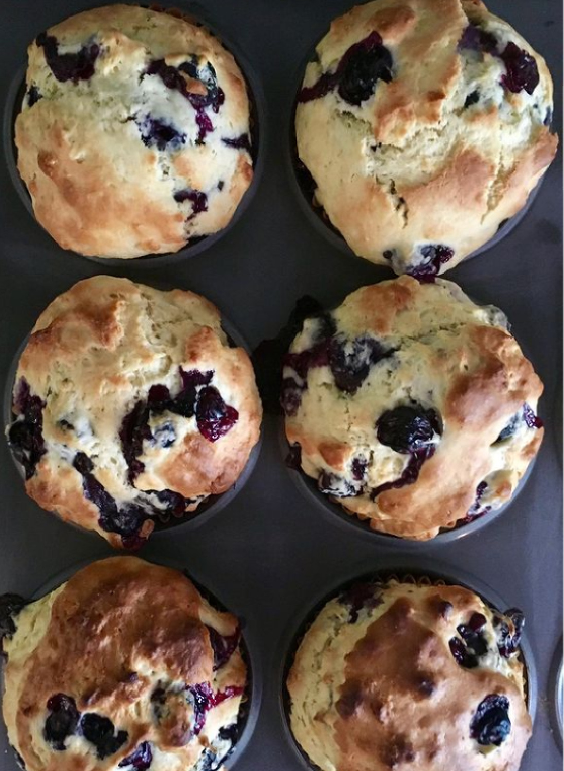 Blueberry muffins straight out of the oven - NoraMurphyCountryHouse. #blueberrymuffins