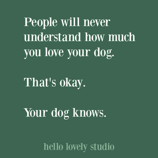 Whimsical dog quote on Hello Lovely Studio. #petlove #quotes #dogquotes #doglovers