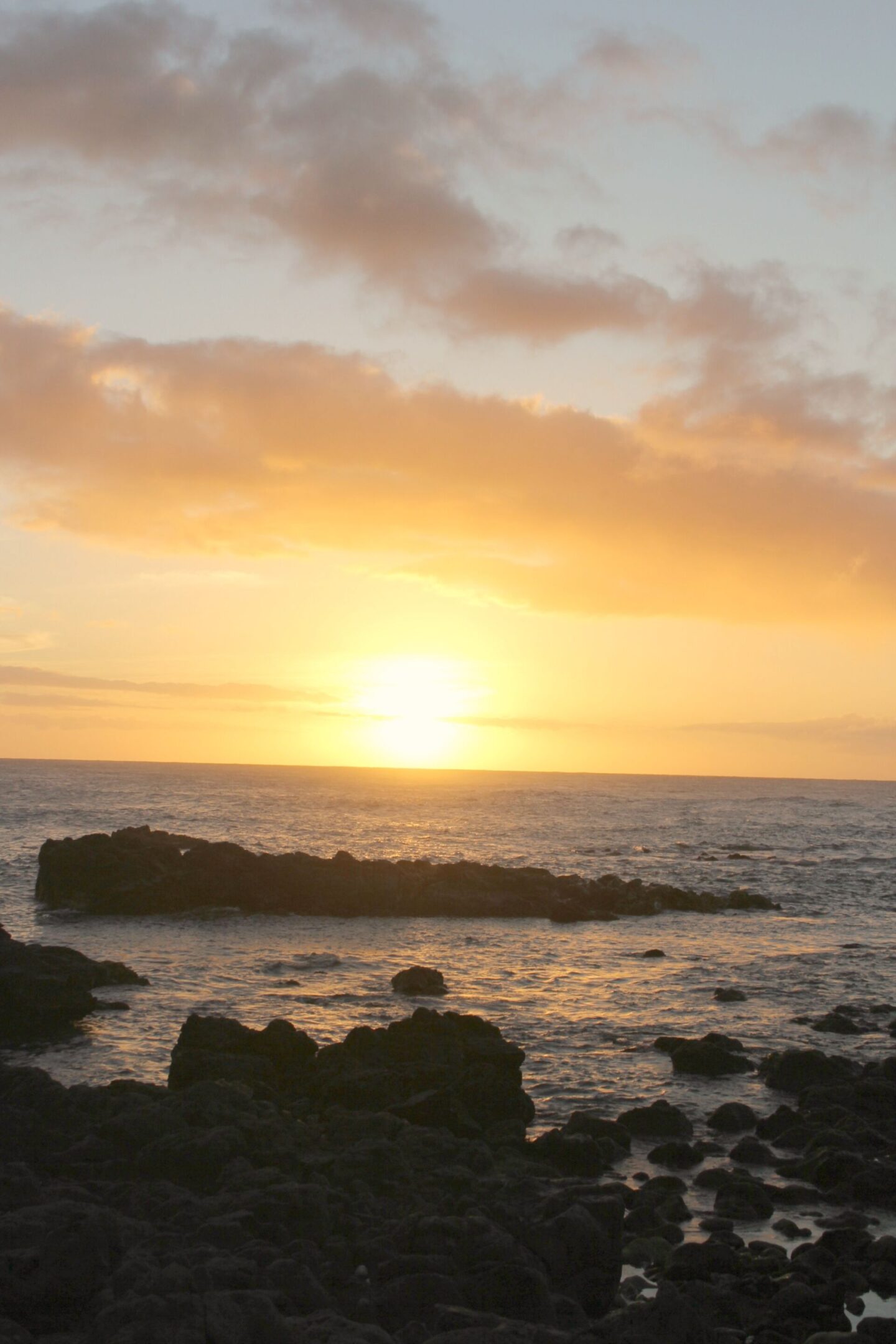 The glorious Pacific and mountainous landscape at Ka'ena Point on Oahu, where we hike to a seabird sanctuary to glimpse Laysan albatross beauty - Hello Lovely Studio.