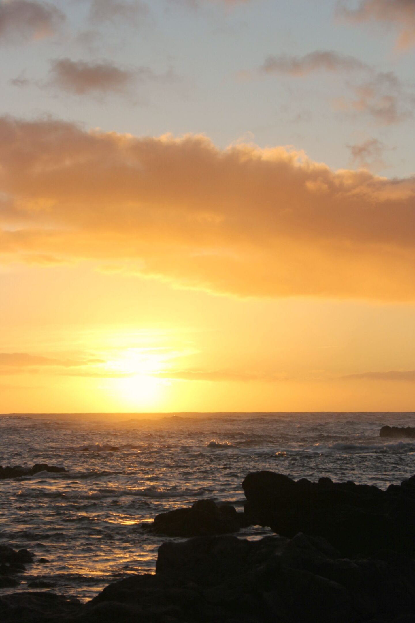 The glorious Pacific and mountainous landscape at Ka'ena Point on Oahu, where we hike to a seabird sanctuary to glimpse Laysan albatross beauty - Hello Lovely Studio.