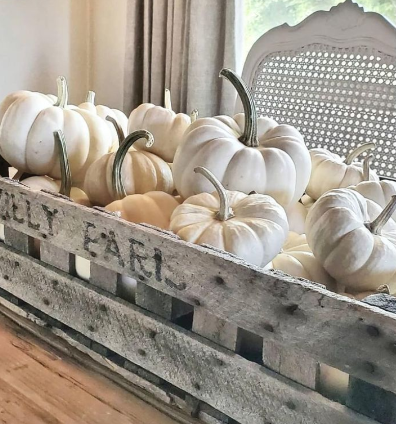 Rustic grey wood crate with white pumpkins for fall decor on a table - The French Nest Co. Interior Design. #frenchcountry #falldecor #whitepumpkins