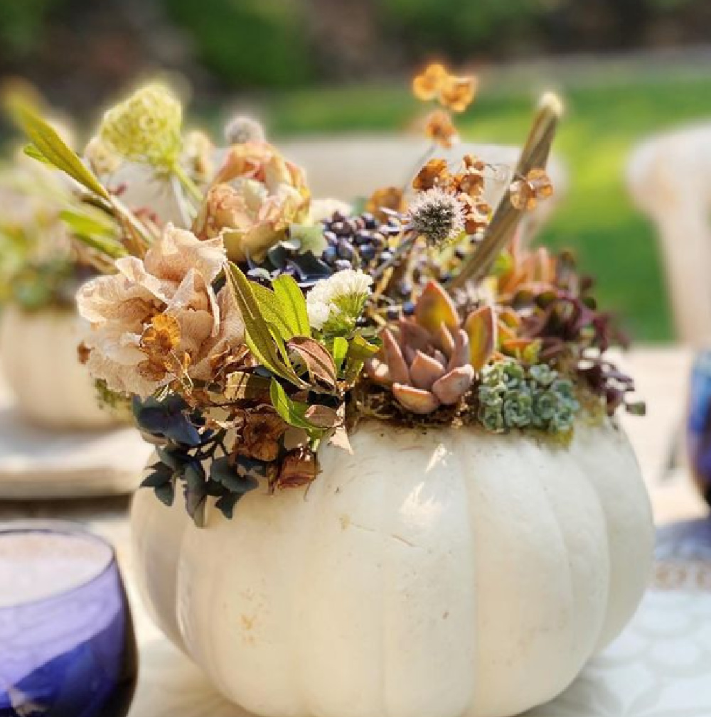 Fall succulent and floral centerpiece in a white pumpkin - The Flower Theory. #centerpieces #fallfloral