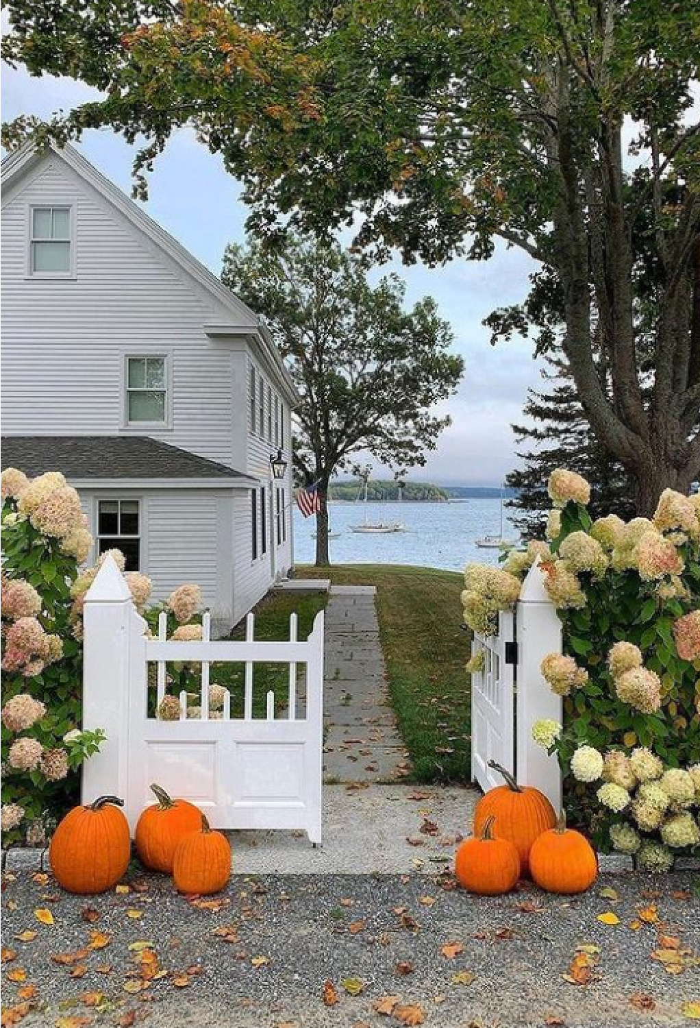 Maine historic seaside home in fall with pumpkins and limelight hydrangea - @loithai of Tone on Tone. #mainehomes #limelighthydrangea #houseexteriors