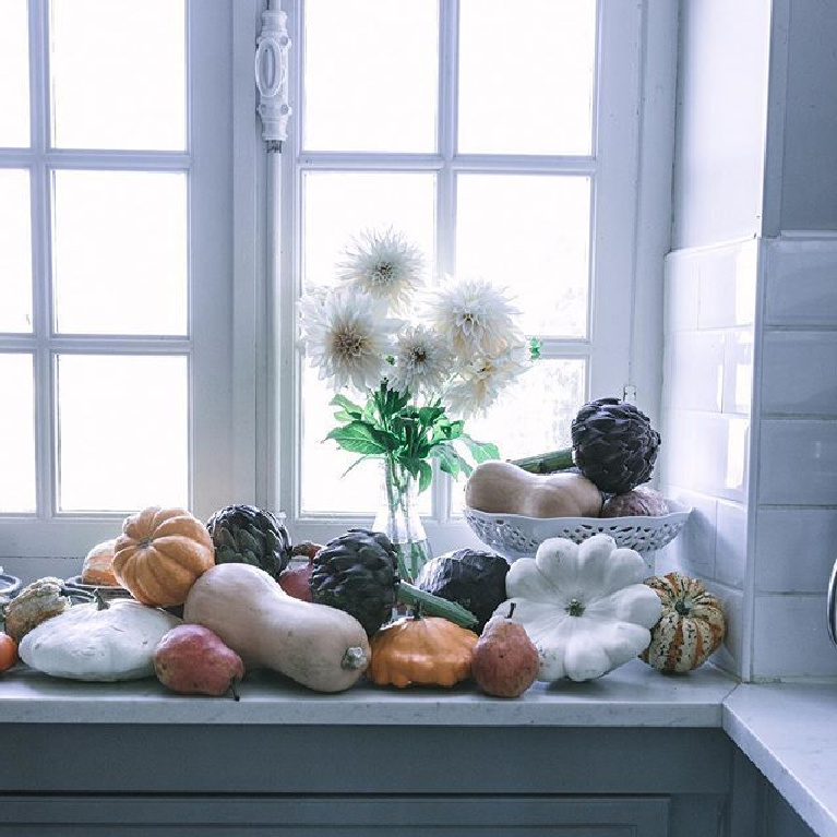 Serene French country autumn beauty in a chateau windowsill with pumpkins, gourds and fall bounty - @chateaumontfort. #fallbeauty #frenchcountry #gourds #pumpkins #serenefall #frenchkitchen #autumnvibes