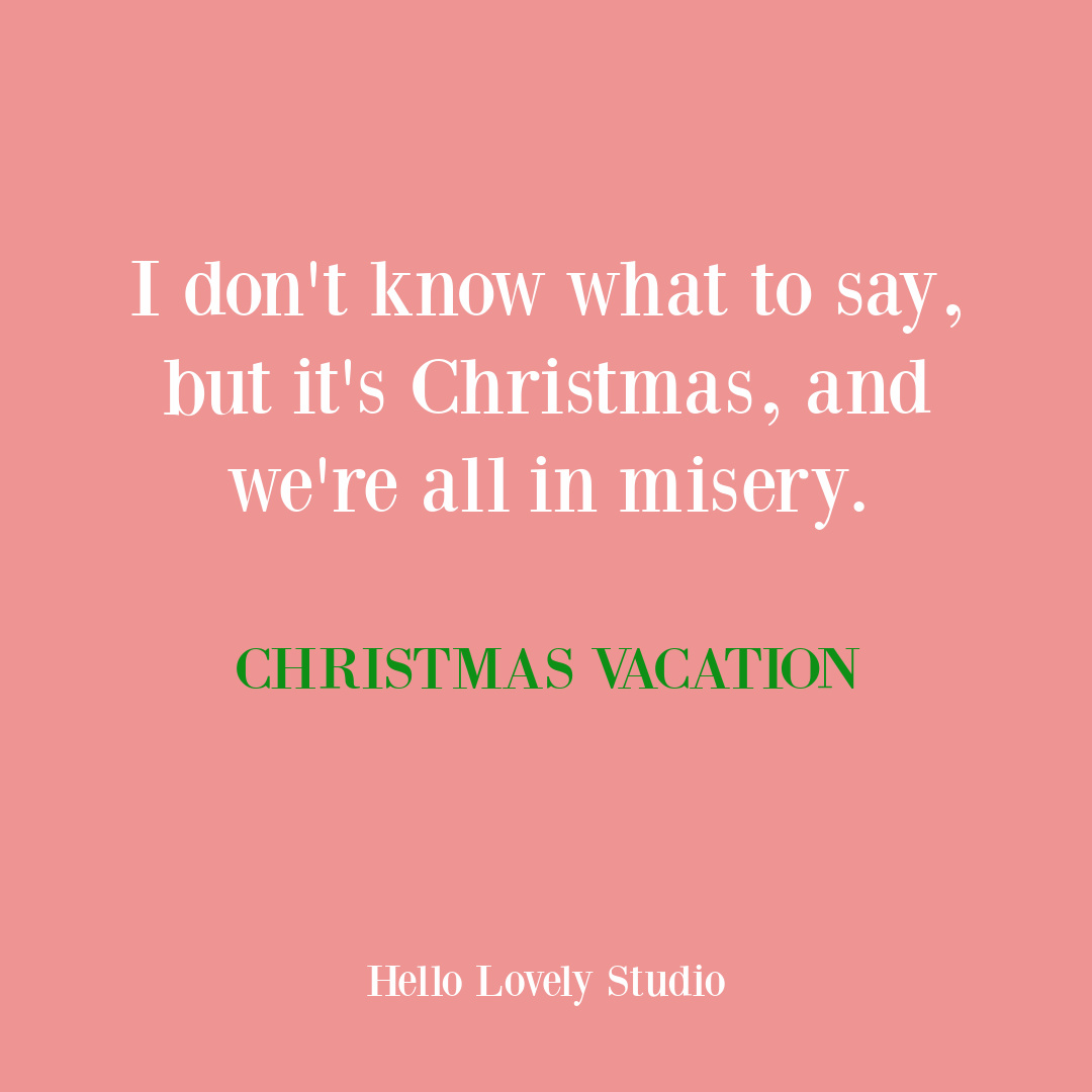 Christmas Vacation movie quote for holiday humor - Chevy Chase. #holidayhumor #christmasvacation #moviequotes