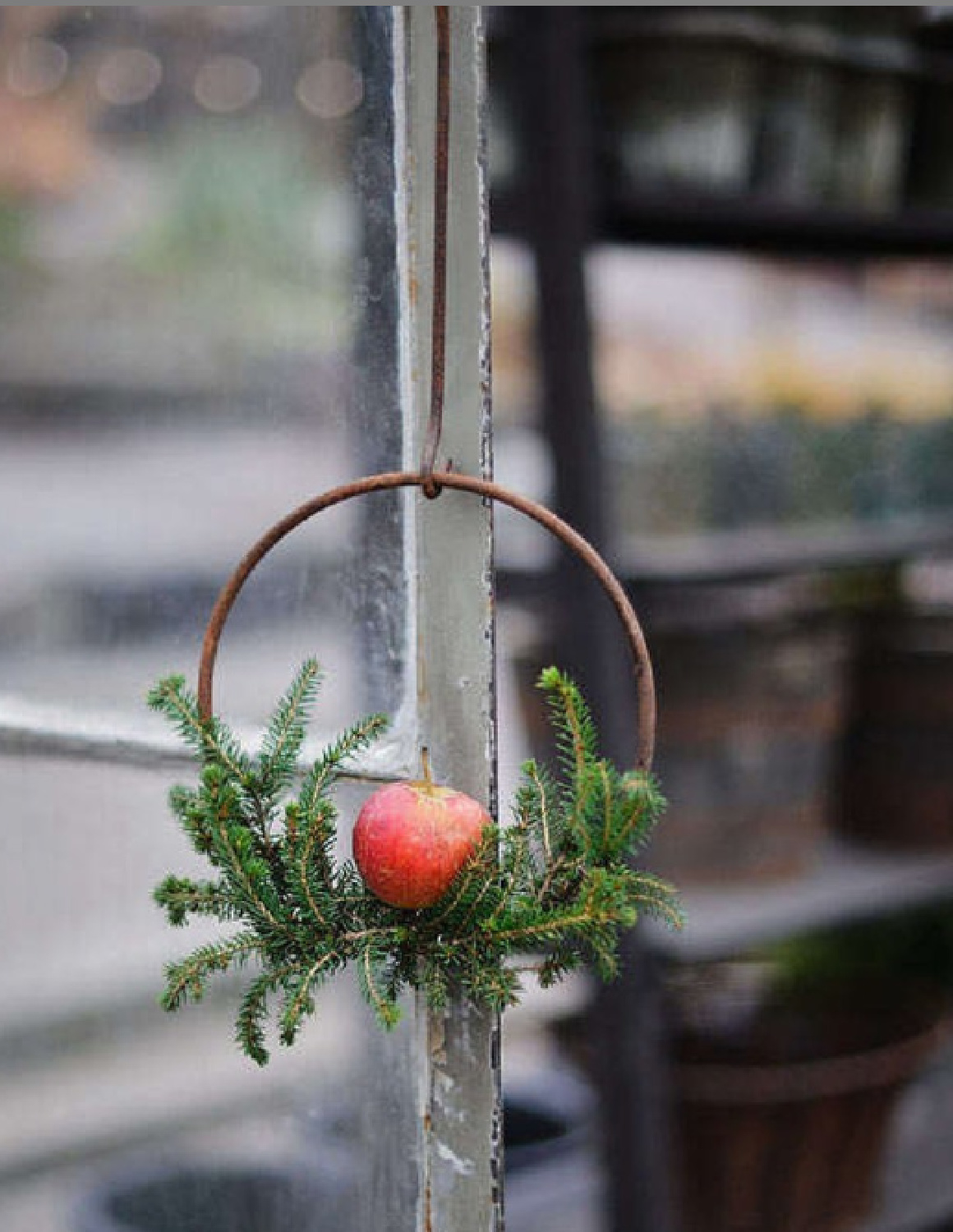 Simple Swedish Christmas hoop wreath with fresh greenery and apple - Jultiderna. #swedishchristmas #scandichristmas ##christmasdecor #farmhousechristmas