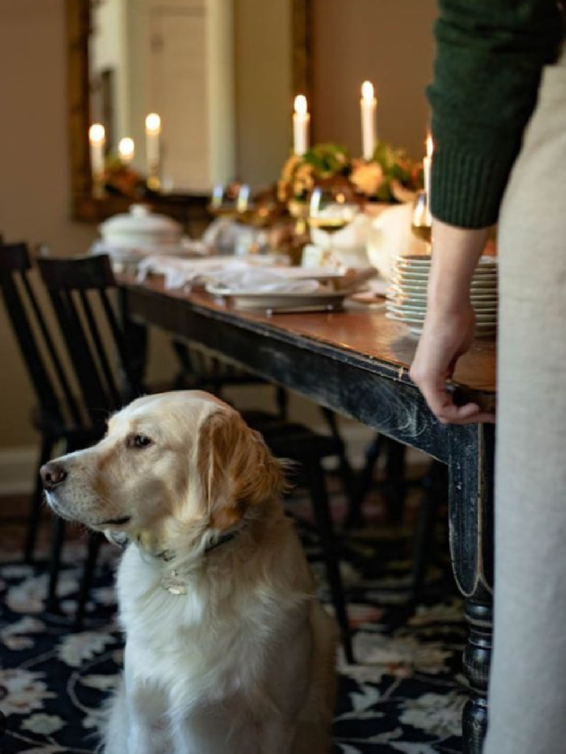 Thanksgiving tablescape in a New England home with a Golden Retriver - @wonderfullifefarm. #thanksgivingtablescape #fallvibes