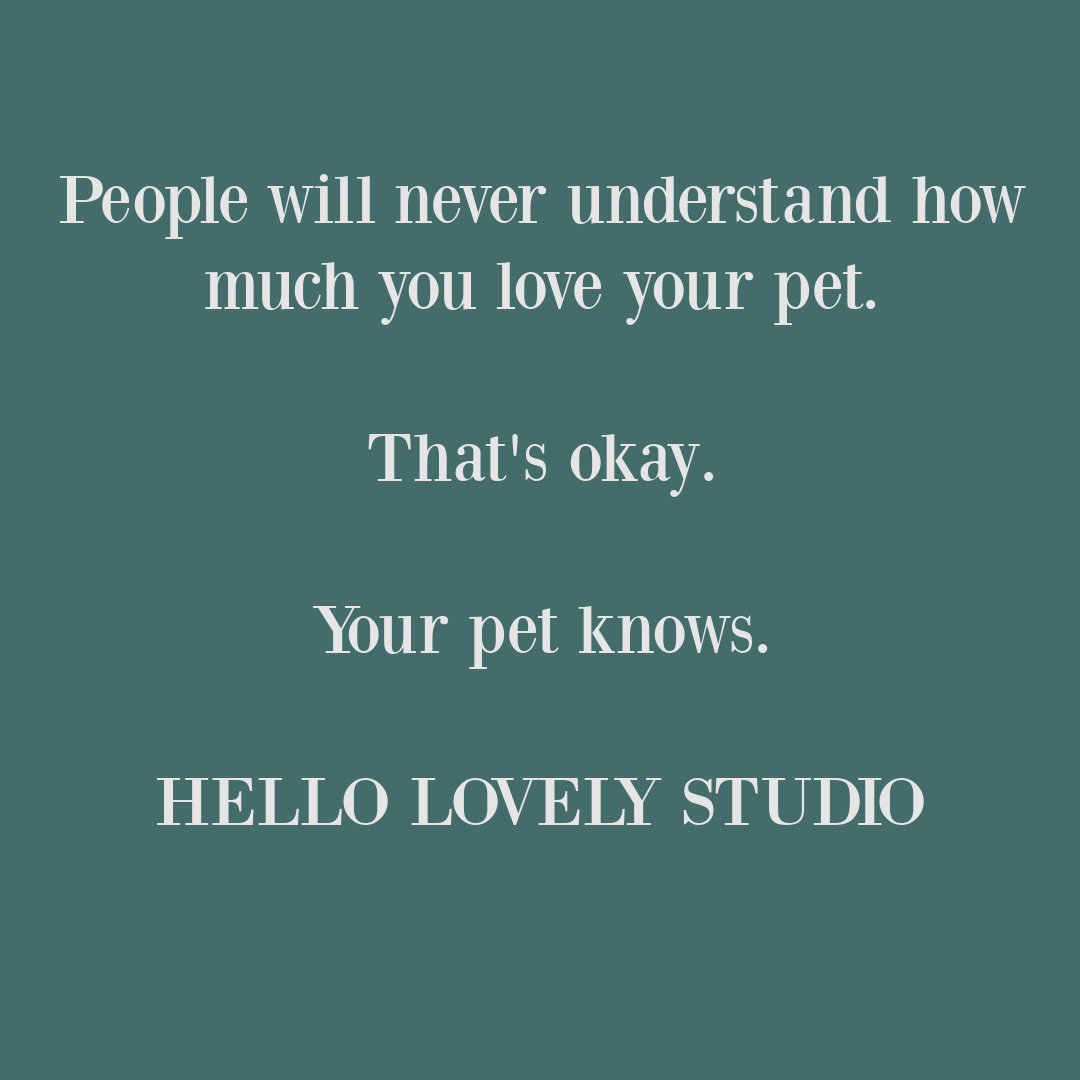 Pet love quote on Hello Lovely Studio. #doglovequote #catlovequote #petquotes