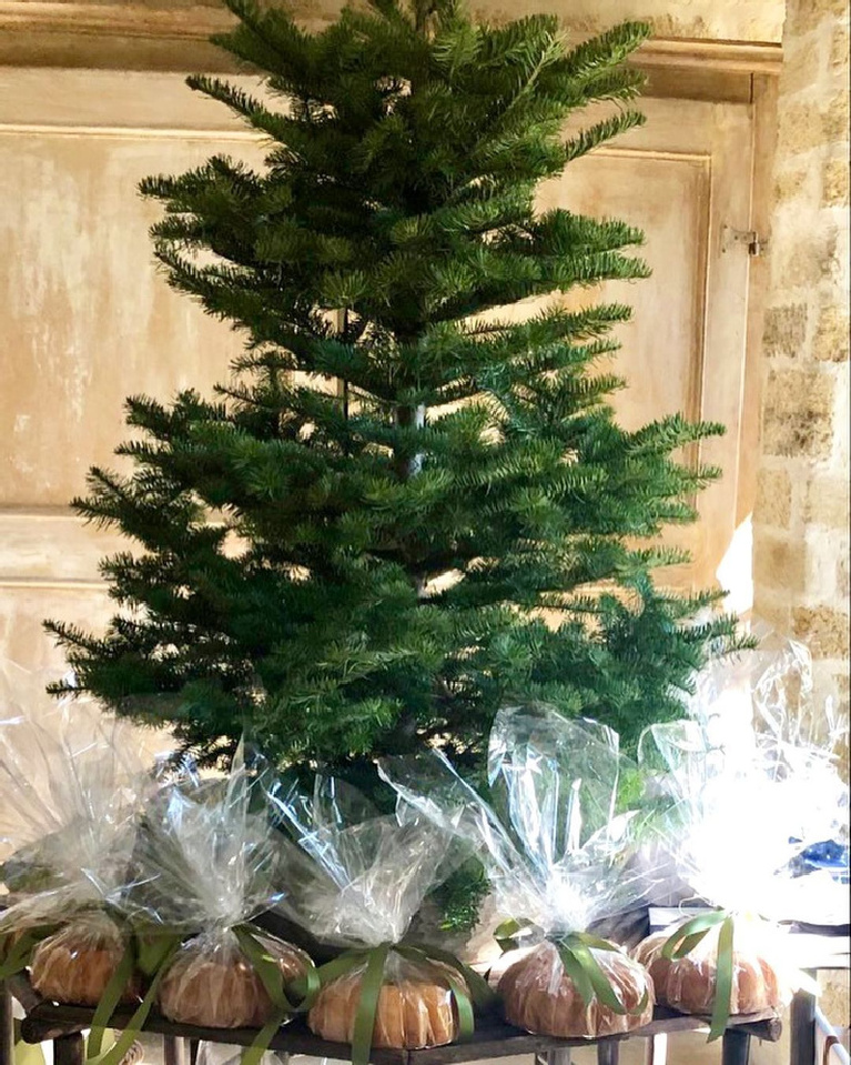 Christmas cookies wrapped in cellophane under a live Christmas tree at Pamela Pierce home - Milieu magazine.