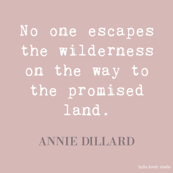 Annie Dillad inspirational quote on Hello Lovely Studio.