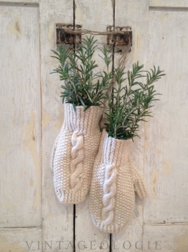 Sweet white knit mittens filled with rosemary sprigs and hanging on a rustic white cabinet for Scandi Christmas simple decor - Vintageologie.