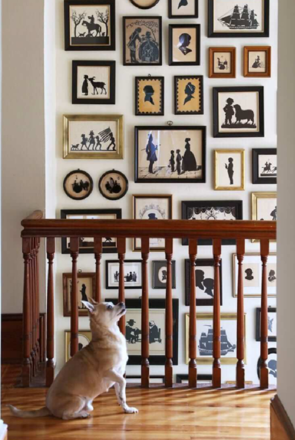 A gallery of framed silhouettes on a stairway wall in a country house - Nora Murphy.