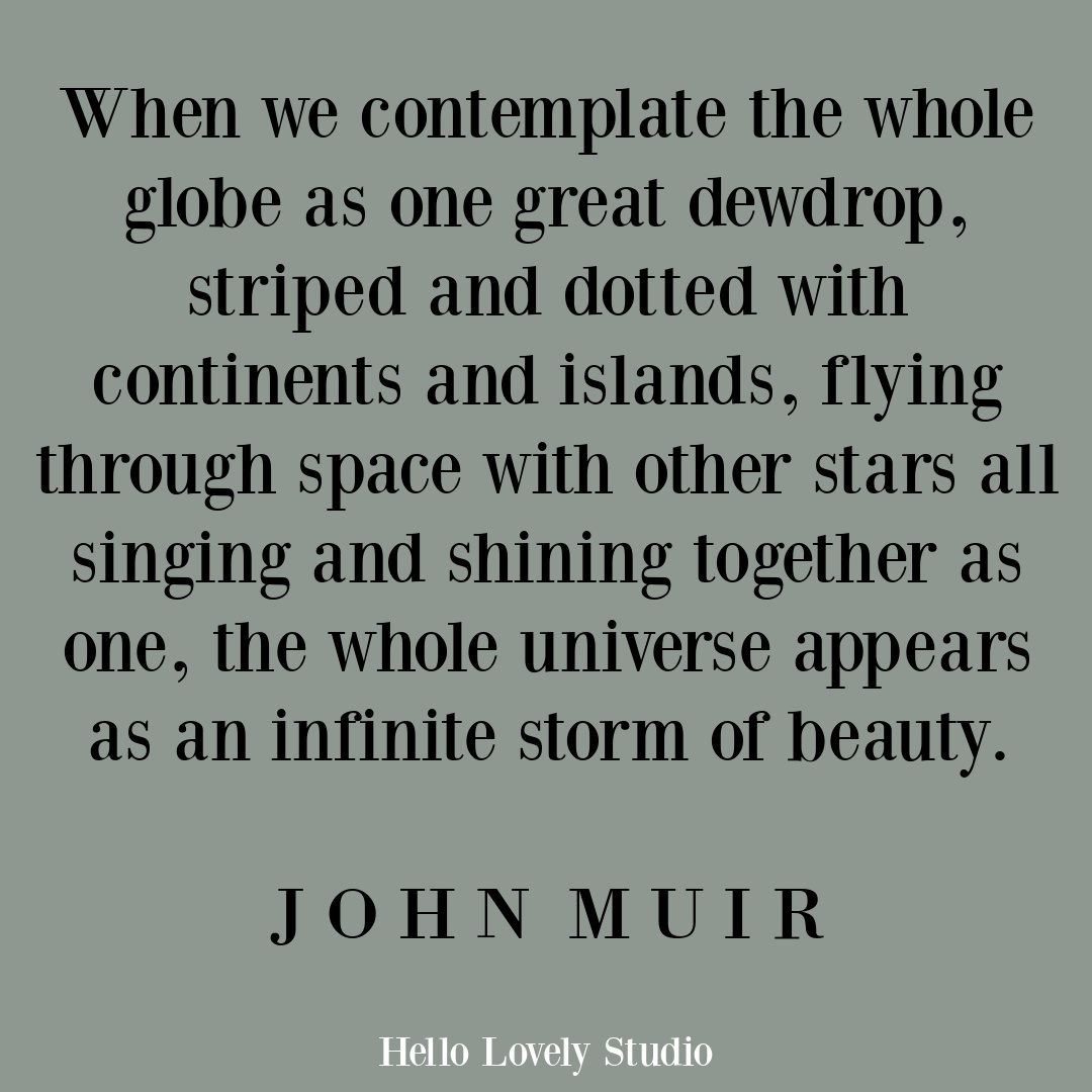 Inspirational quote about nature's beauty and wisdom by John Muir on Hello Lovely Studio. #inspirationalquote #quotes #johnmuir #naturequotes