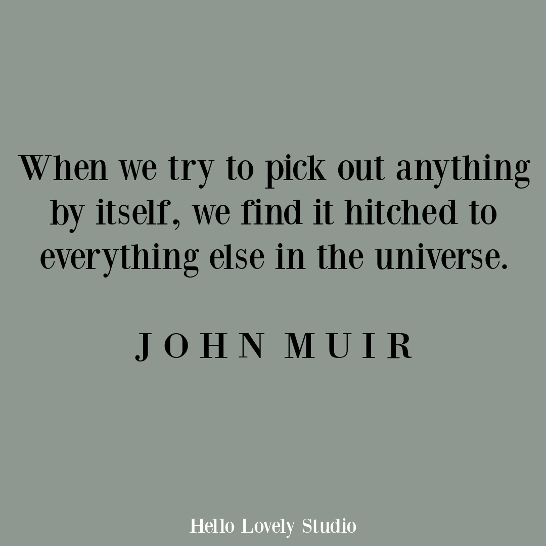 Inspirational quote about nature's beauty and wisdom by John Muir on Hello Lovely Studio. #inspirationalquote #quotes #johnmuir #naturequotes