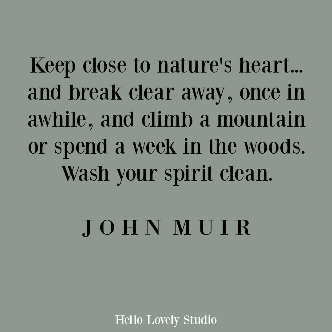 Inspirational quote about nature's beauty and wisdom by John Muir on Hello Lovely Studio. #inspirationalquote #quotes #johnmuir #naturequotes