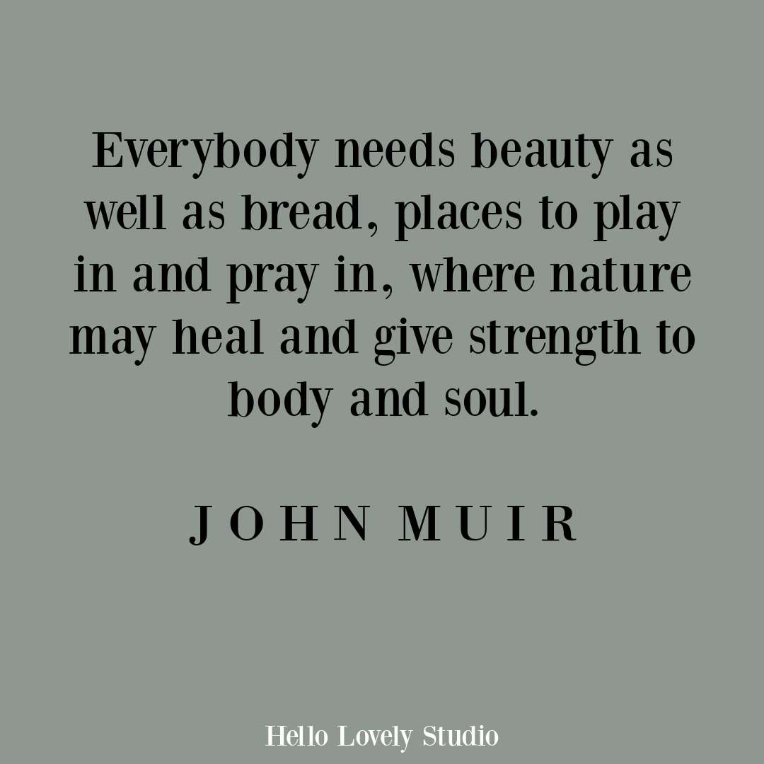 Inspirational quote about nature's beauty and wisdom by John Muir on Hello Lovely Studio. #inspirationalquote #quotes #johnmuir #naturequotes