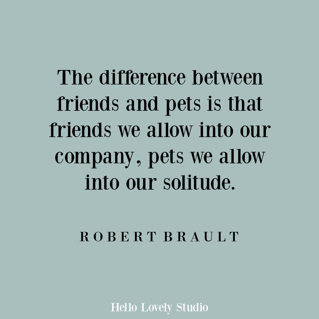 Pet quote by Robert Brault on Hello Lovely Studio. #petquotes