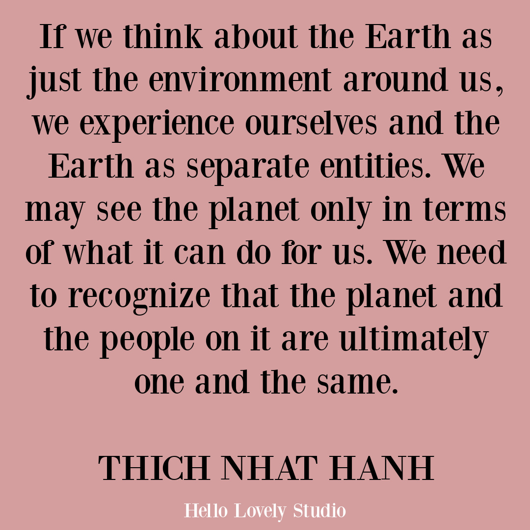 Thich Nhat Hanh quote about unity and the earth on Hello Lovely Studio. #thichnhathanhquote