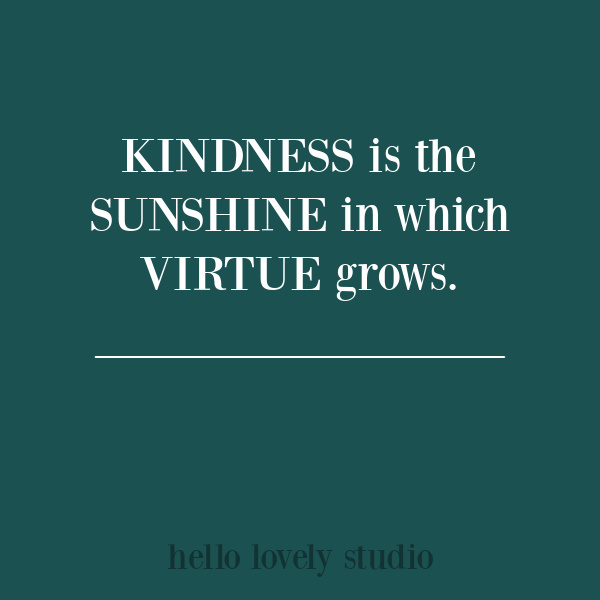 Inspirational quote about kindness on Hello Lovely Studio. #kindnessquotes