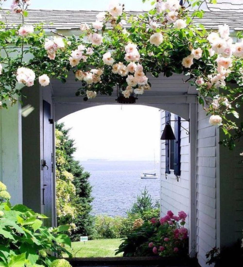 Roses on an arbor! COME TOUR MORE Nantucket Style Chic & Summer Vibes! #nantucket #interiordesign #designinspiration #summerliving #coastalstyle
