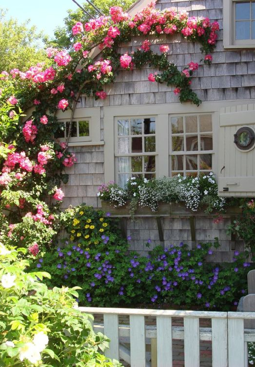 Climbing blooms on a Nantucket cottage with flower box. COME TOUR MORE Nantucket Style Chic & Summer Vibes! #nantucket #interiordesign #designinspiration #summerliving #coastalstyle