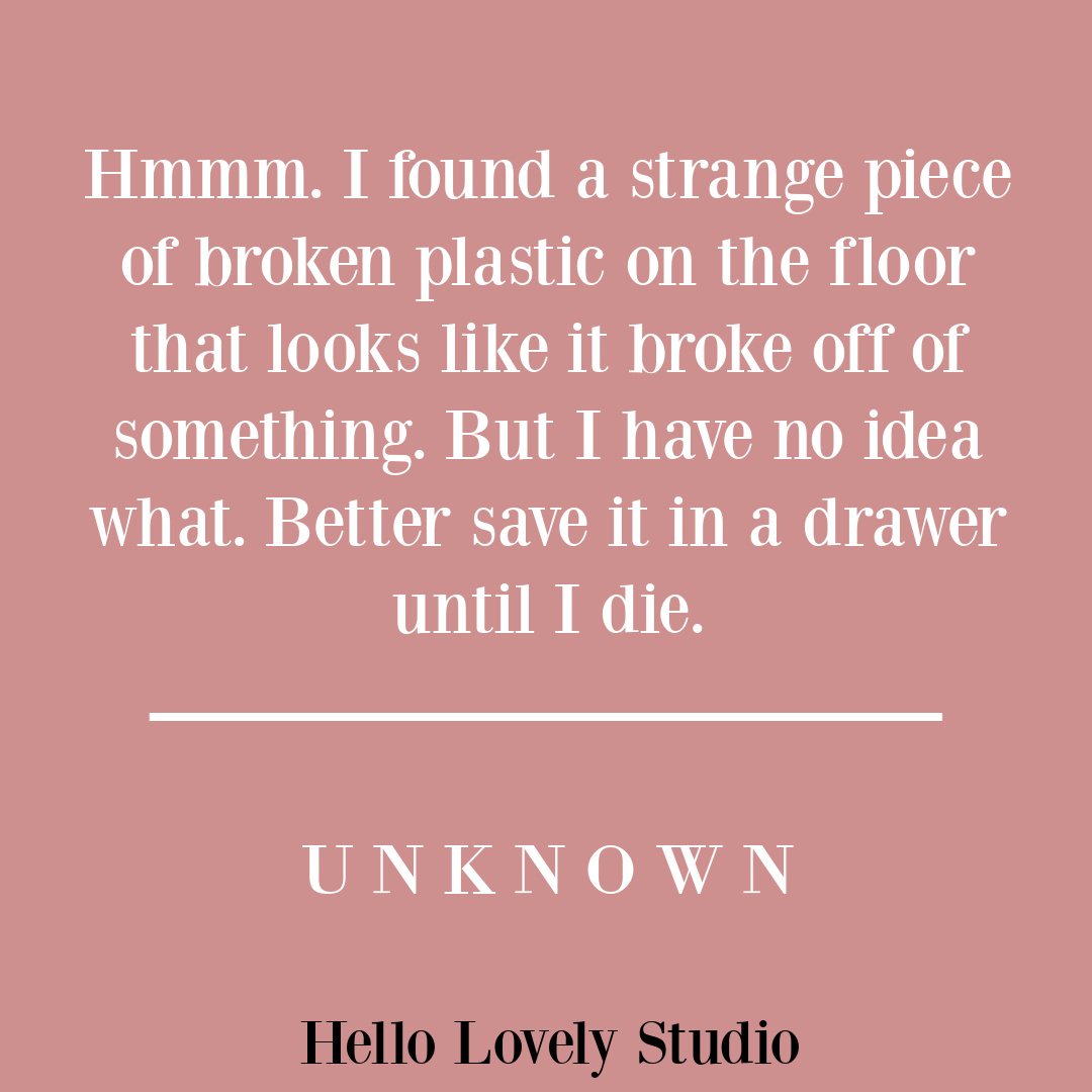 Funny quote about adulting and saving stupid stuff on Hello Lovely Studio. #adultingquotes #lifequotes