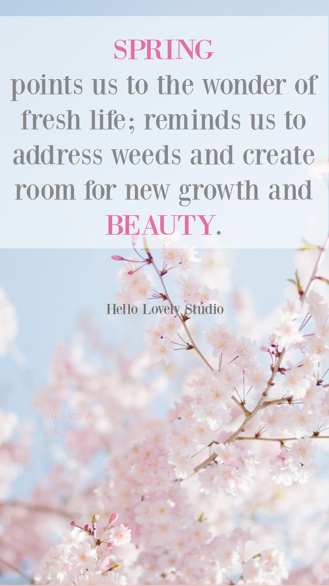 Spring quotes inspirational to welcome hope and encourage wholeness - Hello Lovely Studio. #springquotes #inspirationalspringquotes