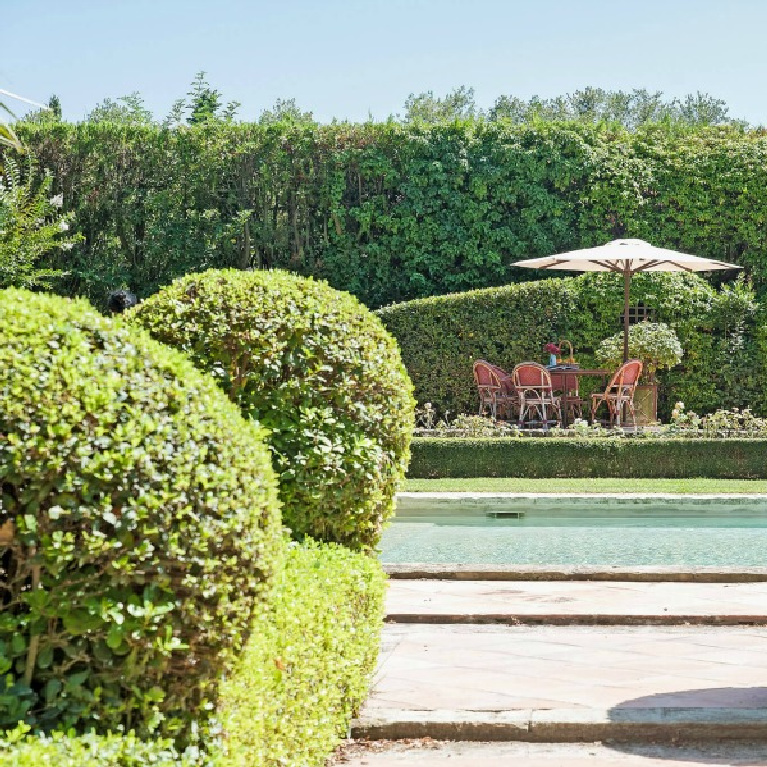 Huge boxwood spheres at a pool in Provence. #boxwood #frenchchateau #frenchgarden