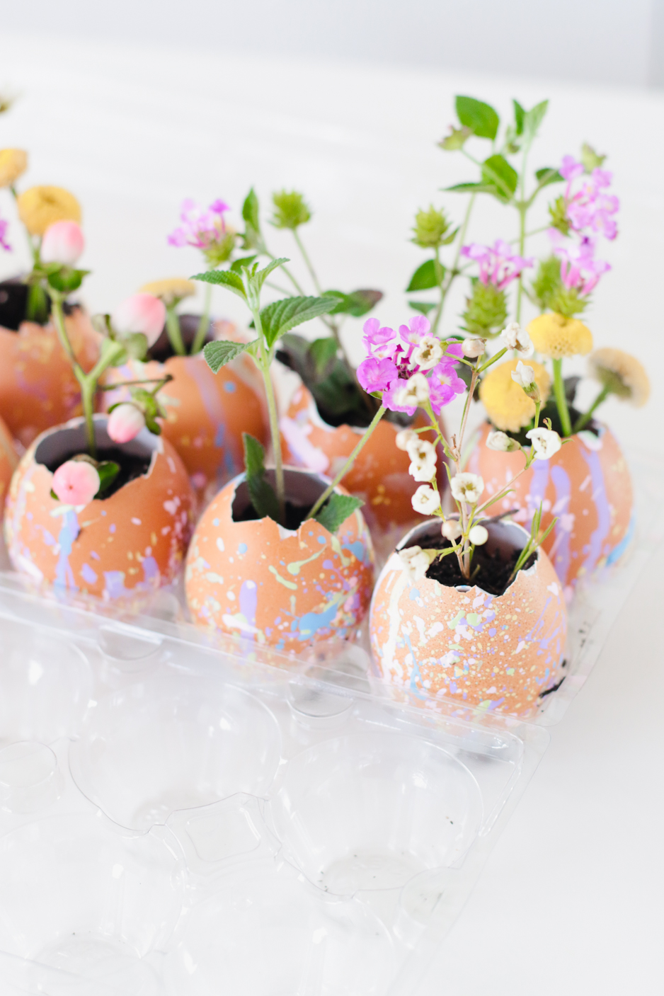 Adorable pastel paint splattered egg shells planted with spring flowers makes a perfect activity for children or adults and parties ushering in the hope of SPRING! Twinkle Twinkle Little Party. #springcrafts #springparties #eggshells #springdiy