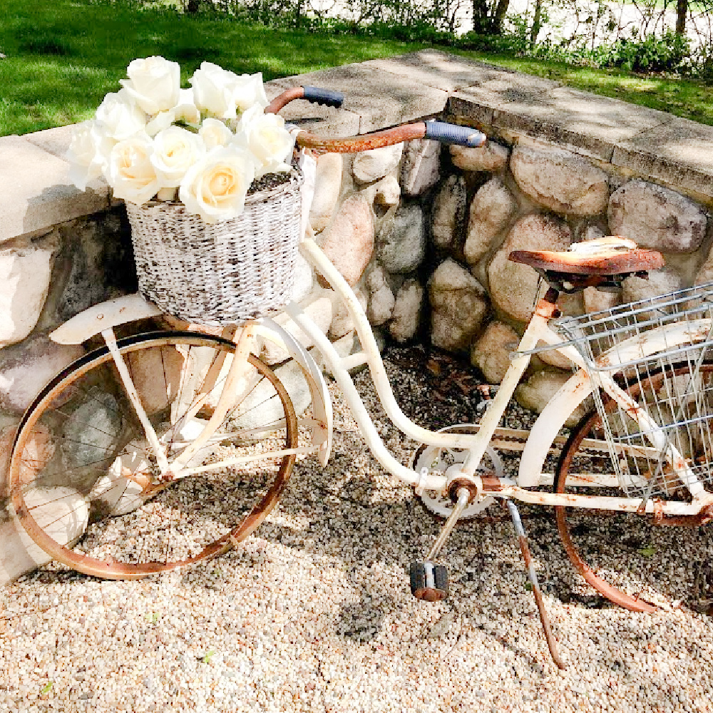 Vintage bicycle with white roses in basket in our French country courtyard - Hello Lovely Studio. #frenchbicycle #bicyclebaskets #whiteroses