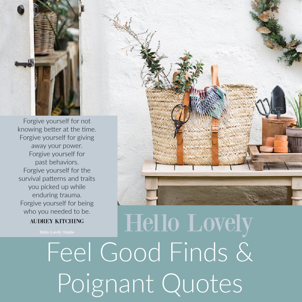 Feel Good Finds & Poignant Quotes on Hello Lovely. #poignantquotes #inspirationalquotes #personalgrowth