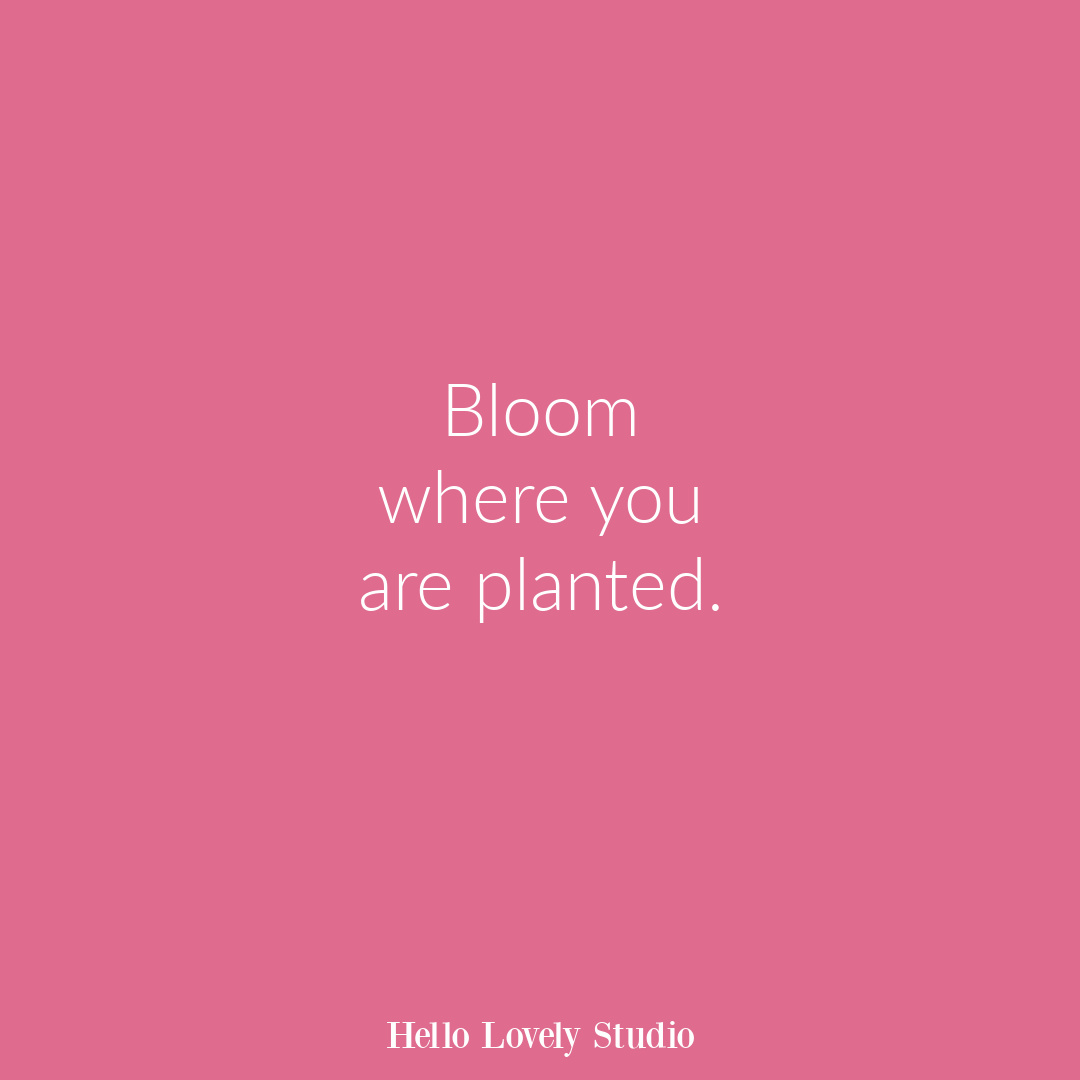 Inspirational flower quote about blooming and life on Hello Lovely Studio. #flowerquote #inspirationalquotes #flowers