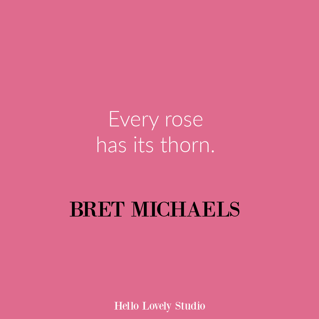 Inspirational flower quote about blooming and life on Hello Lovely Studio. #flowerquote #inspirationalquotes #roses