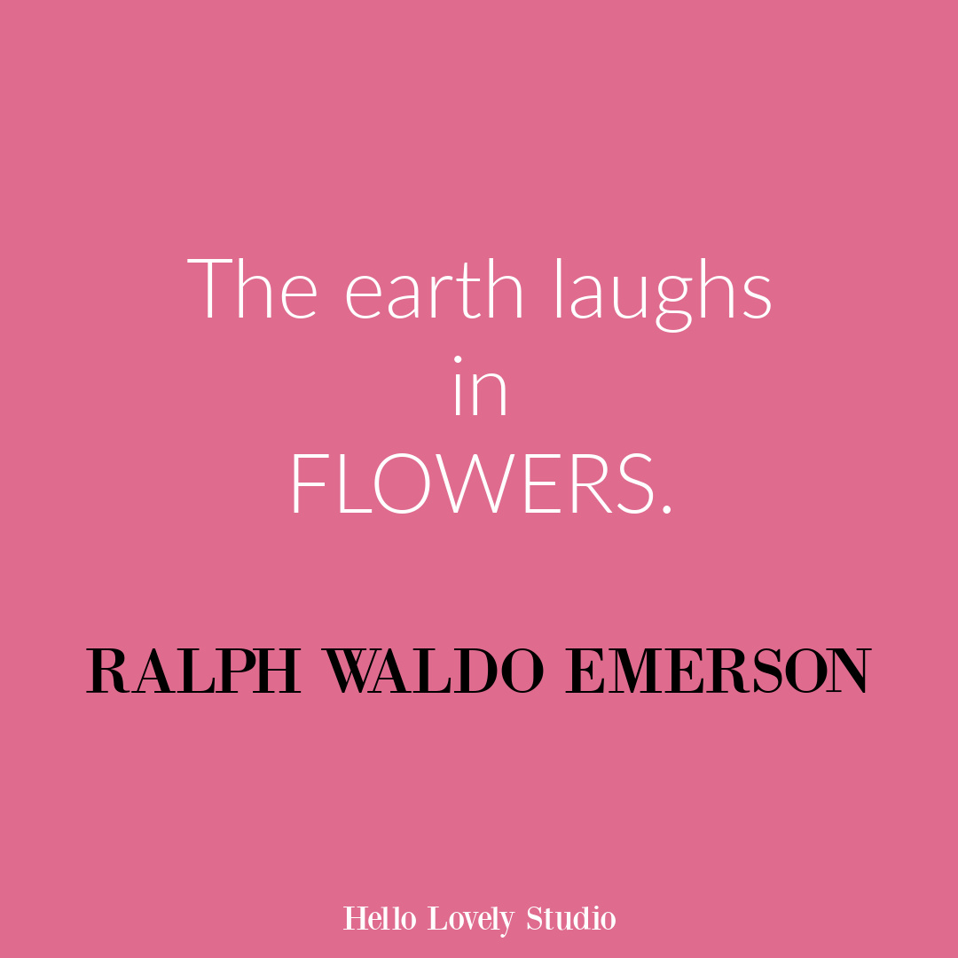 Inspirational flower quote about blooming and life on Hello Lovely Studio. #flowerquote #inspirationalquotes #ralphwaldoemerson