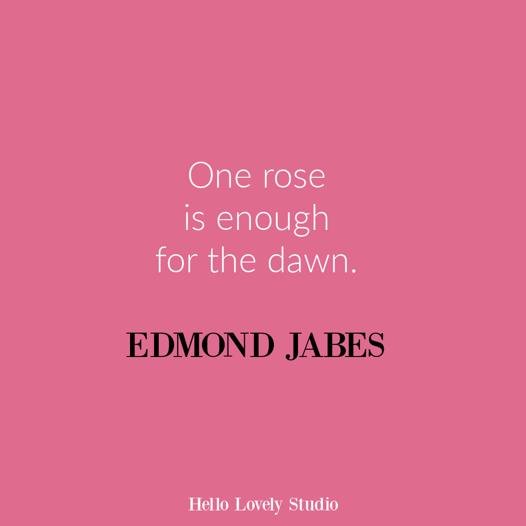 Inspirational flower quote about blooming and life on Hello Lovely Studio. #flowerquote #inspirationalquotes #roses