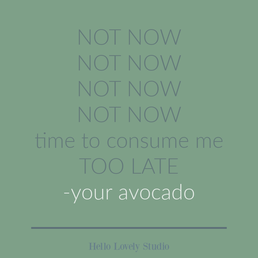 Avocado quote - funny humor quote on Hello Lovely. #avocado #quotes #foodhumor