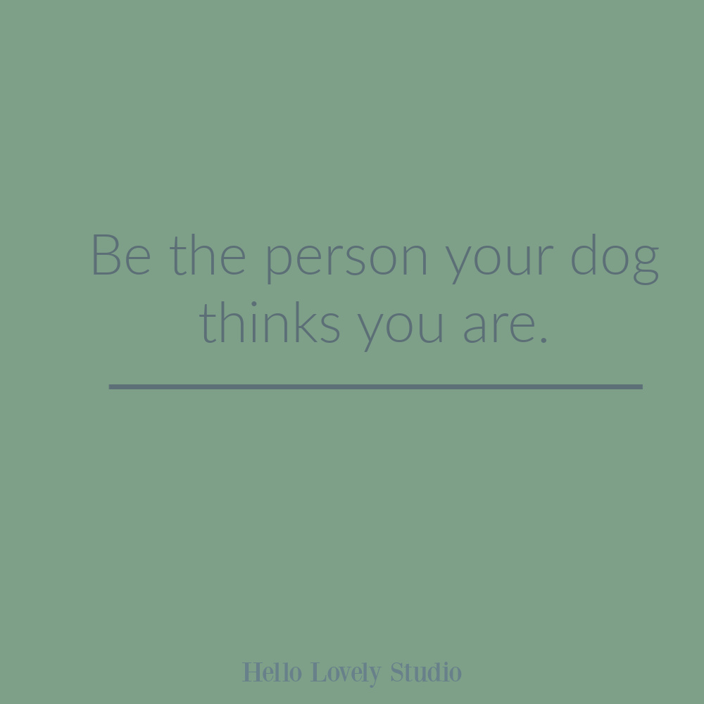 Dog quote on Hello Lovely Studio. #dogquotes #whimsicalquotes