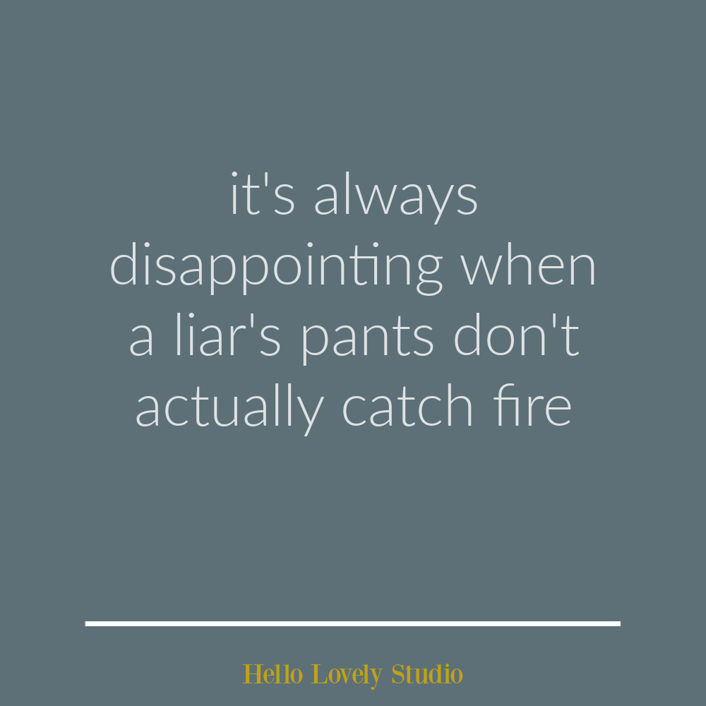 Funny quote about lying on Hello Lovely Studio. #funnyquotes #humorquotes #sarcasm