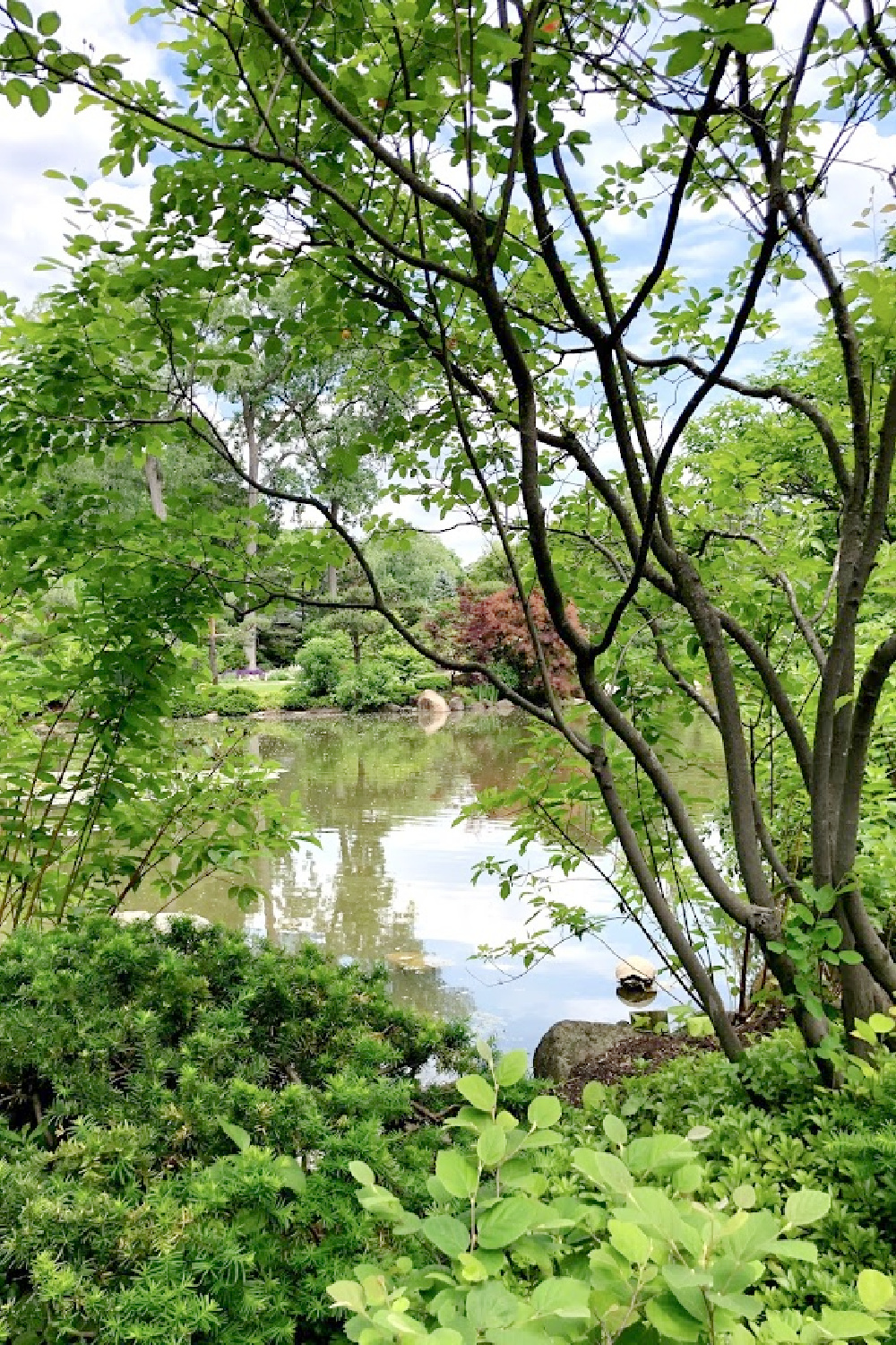 Lovely early June colors in a Japanese garden - Hello Lovely Studio.