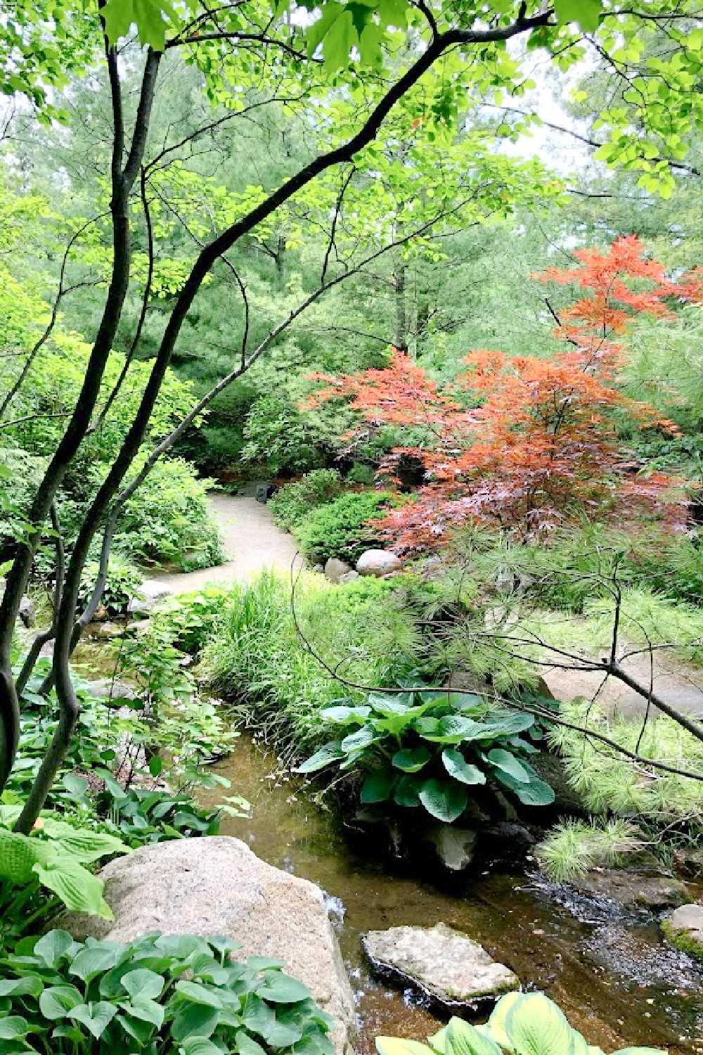 Lovely early June colors in a Japanese garden - Hello Lovely Studio.