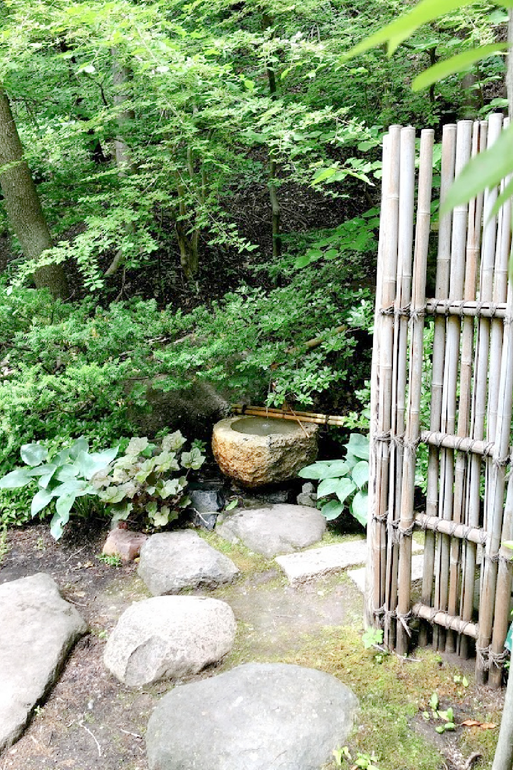 Lovely early June colors in a Japanese garden - Hello Lovely Studio.