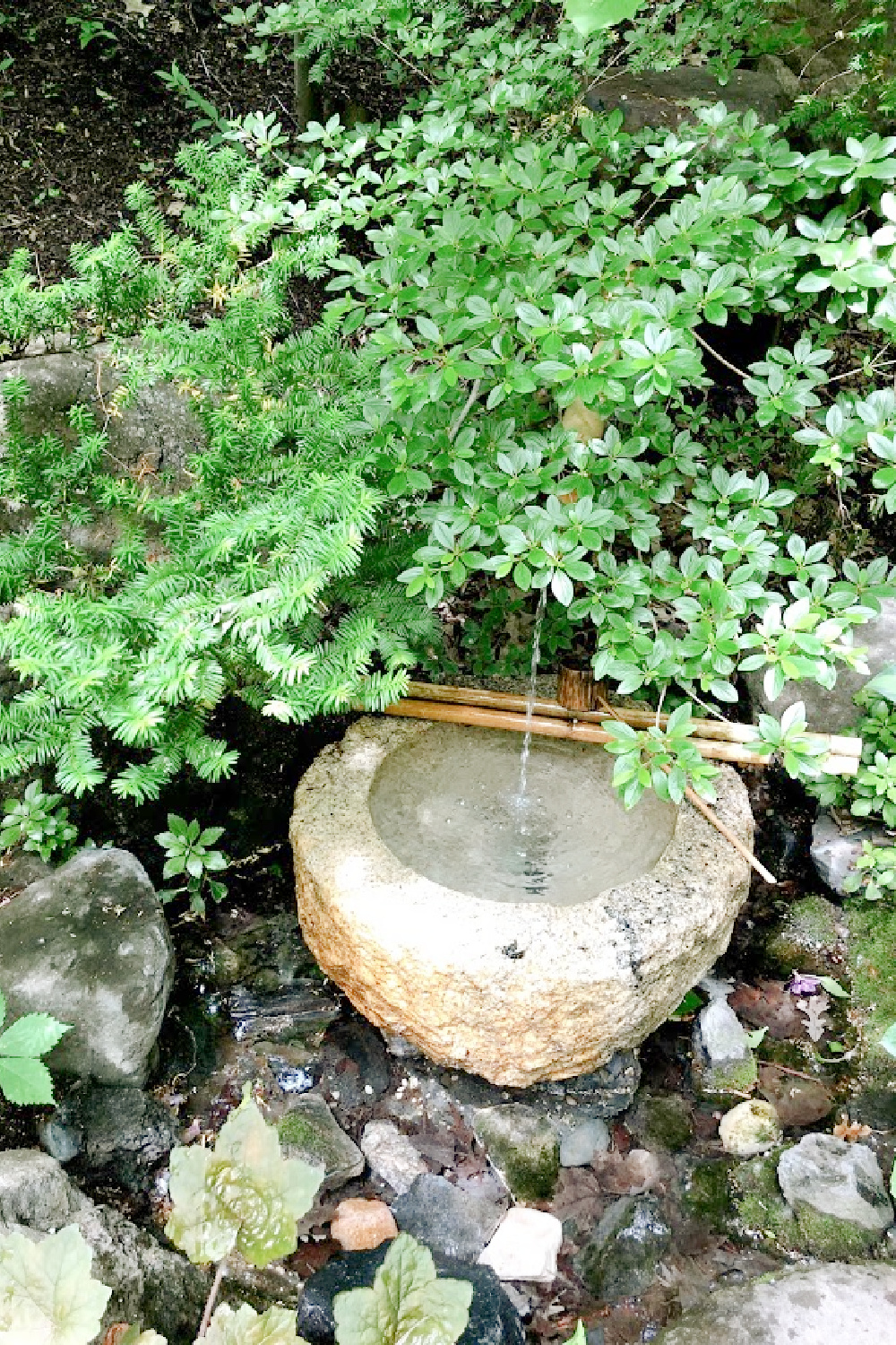 Stone water basin in a Japanese garden - Hello Lovely Studio.