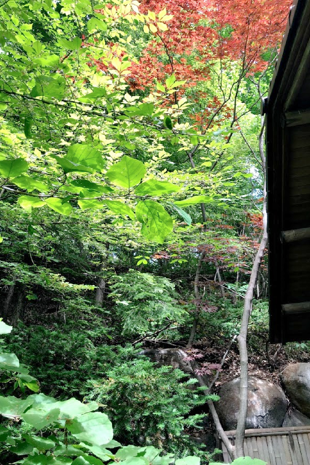 Lovely early June colors in a Japanese garden - Hello Lovely Studio.