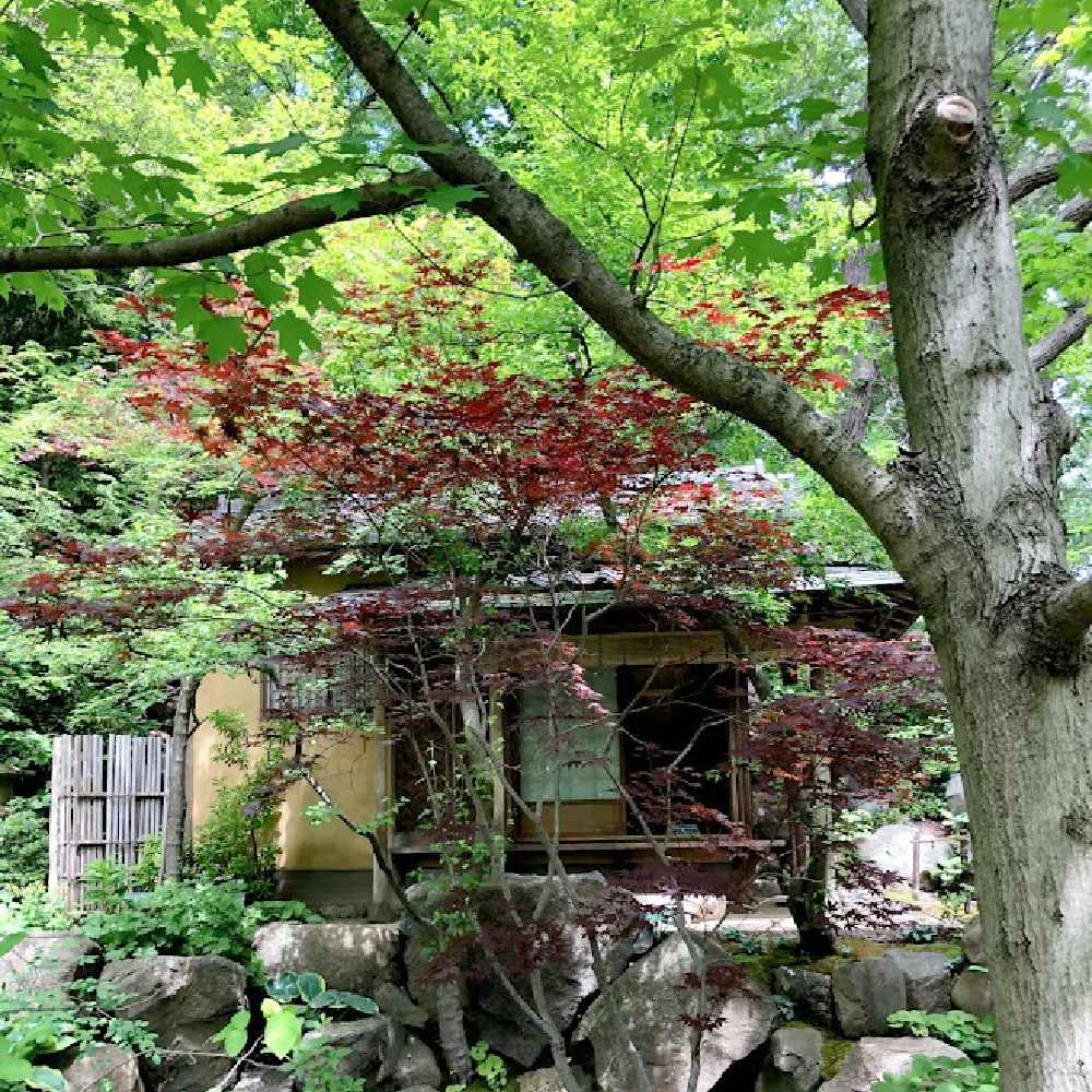 Tea house and Lovely early June colors in a Japanese garden - Hello Lovely Studio.