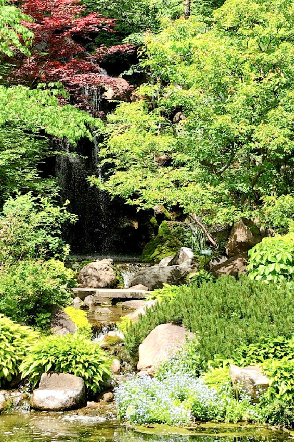 Lovely early June colors in a Japanese garden - Hello Lovely Studio.